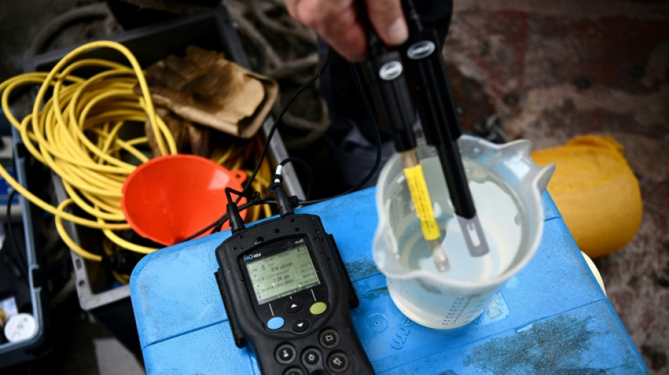 Unbekannte färben Wildbach in Oberbayern über hunderte Meter neongrün