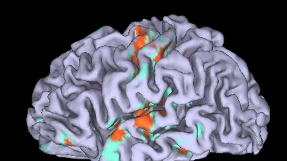 Cervello, individuato il 'motore' del sonno