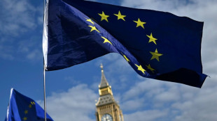 Europaparlament kritisiert H&uuml;rden f&uuml;r B&uuml;rger seit dem Brexit