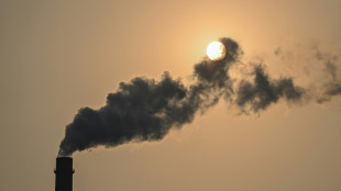G20: les ministres de l'Energie n'ont pas trouv&eacute; d'accord sur un calendrier de r&eacute;duction des &eacute;nergies fossiles
