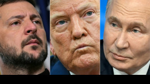 Türkischer Außenminister schlägt Treffen von Trump, Putin und Selenskyj in seinem Land vor