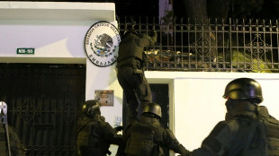 Raid &agrave; l'ambassade de Quito : le Mexique plaide sa cause devant la CIJ