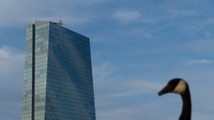 Bce, raddoppia l'uso dell'Ia ma la met&agrave; dei dipendenti &egrave; frenata