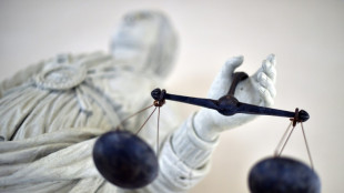 Quatorze ans de r&eacute;clusion requis contre une "revenante" du groupe Etat islamique