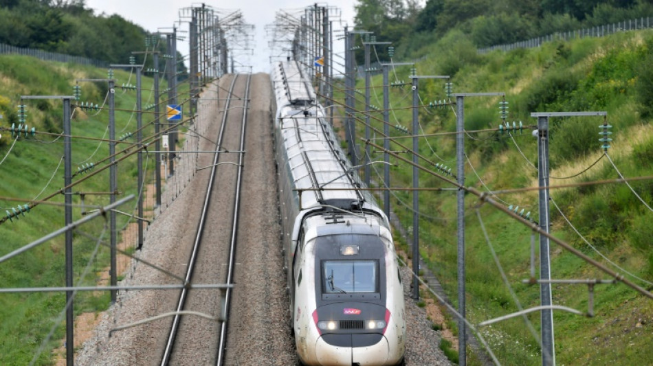 Sabotages en France: retour &agrave; la normale sur le r&eacute;seau TGV