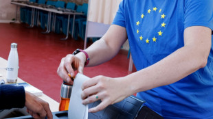 Europawahl in Deutschland und 20 weiteren EU-L&auml;ndern - Rechtsruck erwartet