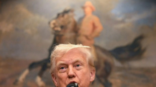 "Mécontentement" de Trump face aux projets de reconnaissance d'un Etat palestinien