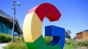 Google-Auswertung: Infos zu US-Wahl und Sportgro&szlig;ereignisse besonders gefragt