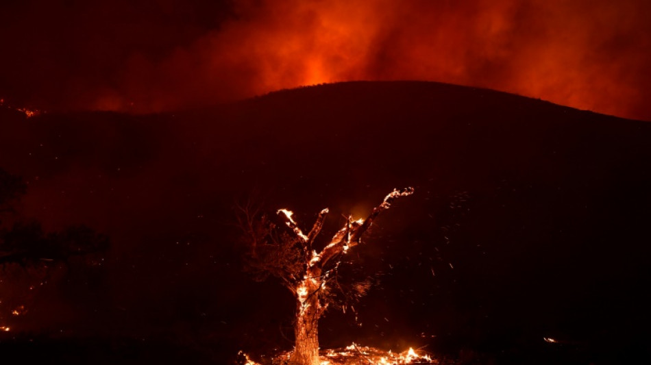 L'Ouest américain continue de suffoquer, la Californie menacée par des coupures de courant
