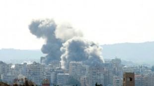 Avant des pourparlers avec le Liban, Isra&euml;l dit n'avoir de "probl&egrave;me" qu'avez le Hezbollah