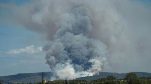 Großer Brand wütet auf 1000 Hektar im Süden Frankreichs