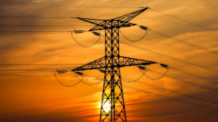 Kosten f&uuml;r Netzausbau f&uuml;r Erneuerbare sollen ab 2025 besser verteilt werden