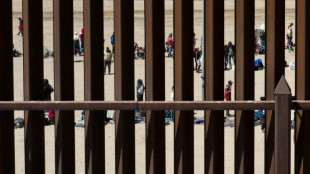 Fronti&egrave;re: Biden reprend la construction du mur de Trump, assurant y &ecirc;tre contraint