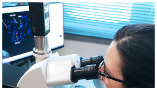 Tumori, la posizione delle cellule decide se sono aggressivi