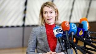 Iran : l'UE d&eacute;signe les Gardiens de la R&eacute;volution comme organisation terroriste