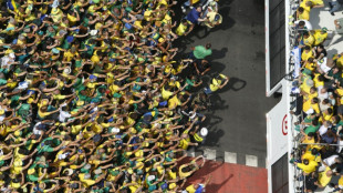 Br&eacute;sil: des milliers de partisans de Bolsonaro dans la rue en pleine temp&ecirc;te judiciaire