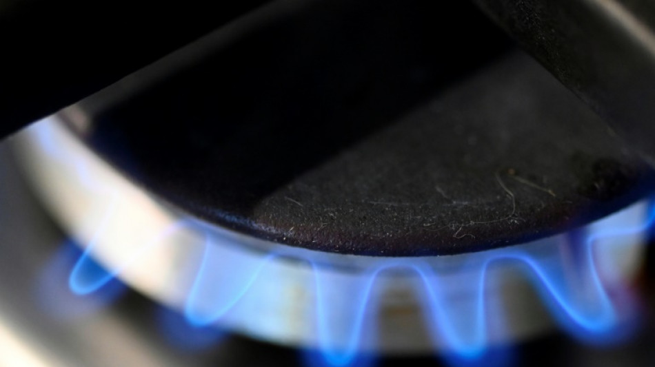Bund und L&auml;nder einig &uuml;ber Gas- und Strompreisbremse