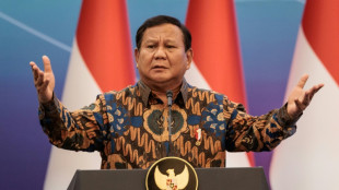 Indonesia president says ready to temporarily shelter Gazans