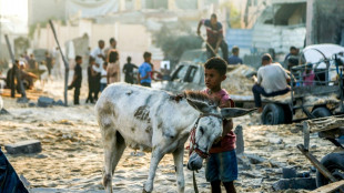 Hilfsorganisationen und Opposition kritisieren deutsche Israel-Politik scharf