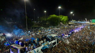 Buenos Aires f&ecirc;te ses champions dans la d&eacute;mesure... et dans les airs