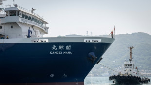 Drones, wifi et longs couteaux: &agrave; bord du nouveau bateau-usine baleinier du Japon