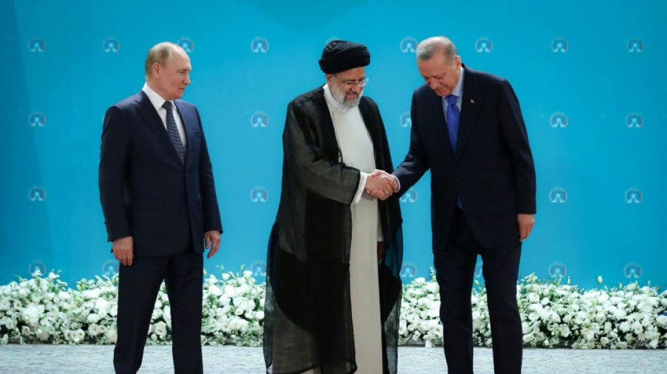 Russland, Iran und T&uuml;rkei geloben Zusammenarbeit in Syrien