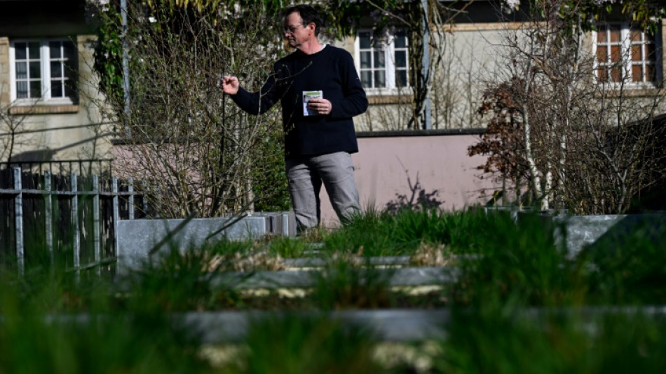 A Rennes, un pollinarium "sentinelle" pour mieux traiter les allergies