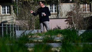 A Rennes, un pollinarium "sentinelle" pour mieux traiter les allergies
