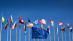 Dernier jour du marathon &eacute;lectoral pour redessiner le paysage politique de l'UE