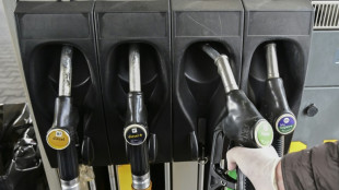 Studie: Mineral&ouml;lkonzerne gaben Tankrabatt weitgehend an Verbraucher weiter