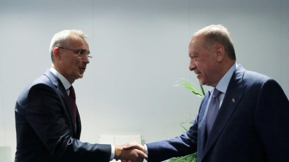 T&uuml;rkei unterst&uuml;tzt Nato-Beitritt Schwedens und Finnlands
