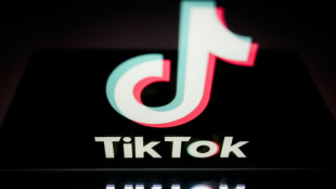 US House easily passes TikTok ban bill as eyes turn to Senate
