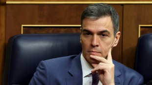 D&eacute;mission ou pas ? L'Espagne suspendue &agrave; l'annonce de Pedro S&aacute;nchez