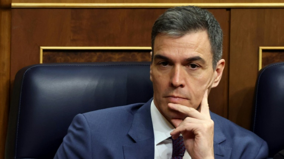 Pedro S&aacute;nchez d&eacute;cide de rester &agrave; la t&ecirc;te du gouvernement espagnol