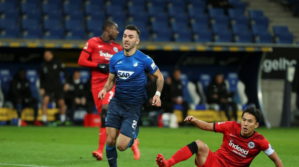 Medien: K&ouml;ln verpflichtet Adamjan aus Hoffenheim