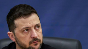 Selenskyj nach Einigung mit Verbündeten auf Plan zu Kriegsende zu Treffen mit Putin bereit
