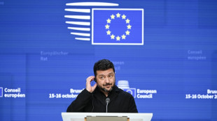 Ucr&acirc;nia n&atilde;o recebeu aviso de aliados antes dos bombardeios noturnos russos, afirma Zelensky 