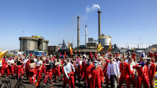 Une usine Tata Steel aux Pays-Bas investie par des manifestants &eacute;cologistes