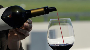 Erzeugung von Wein und Most im vergangenen Jahr um sechs Prozent h&ouml;her