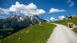 80 Milliarden Euro: Reiseverband hebt Umsatzprognose f&uuml;r laufendes Reisejahr an