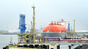 Five things to know about LNG as EU looks beyond Russia