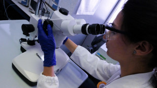 Farmaco anti-colesterolo possibile arma contro la demenza