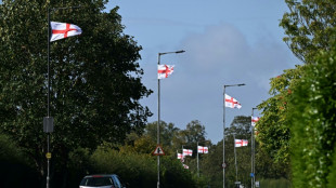 En Angleterre, les drapeaux nationaux foisonnent, portés par un vent anti-immigration