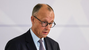 Afd di nuovo primo partito nei sondaggi, crolla sostegno Merz