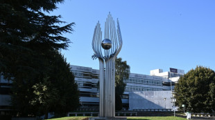 Au cœur du vivier de talents français en IA que s'arrachent les entreprises