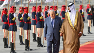 Sommet arabe: appel &agrave; une conf&eacute;rence internationale de paix pour le Proche-Orient 