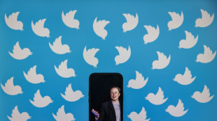 Tesla-Milliard&auml;r Musk will Twitter nun doch kaufen