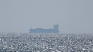 'Almeno 43 navi portacontainer ancora bloccate nel Golfo Persico'