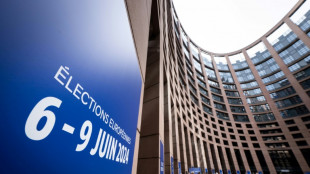Elections europ&eacute;ennes: mont&eacute;e en puissance attendue des droites radicales