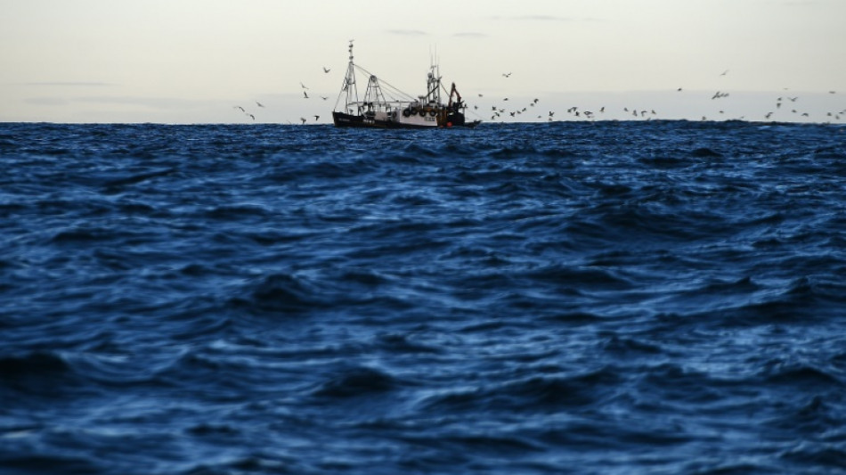 Deutsche Fischer fangen mehr Fisch - Erl&ouml;se aber gesunken